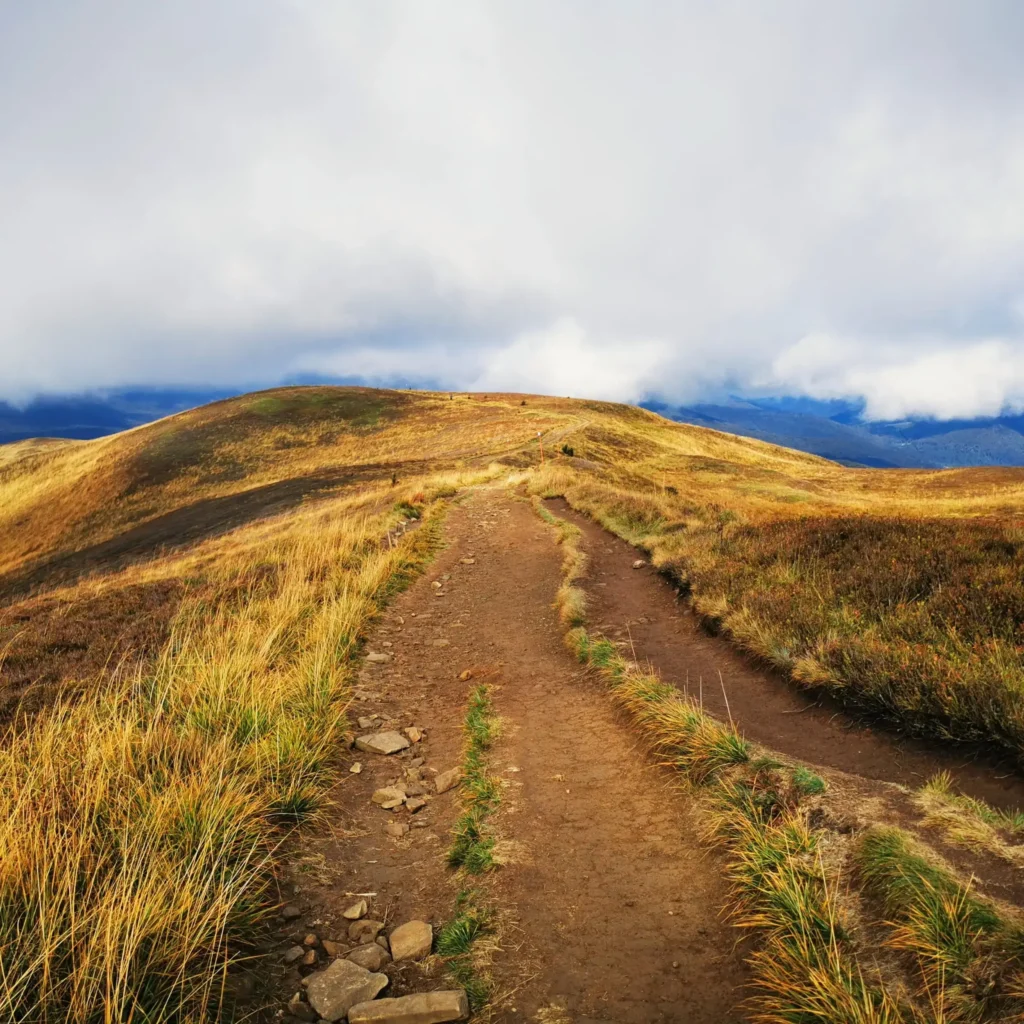 Górski szlak prowadzący przez złociste poloniny Bieszczad, otoczony trawami falującymi na wietrze. Widok podkreślony dramatycznym niebem z nisko zawieszonymi chmurami. Idealne miejsce dla miłośników pieszych wędrówek i górskich krajobrazów.