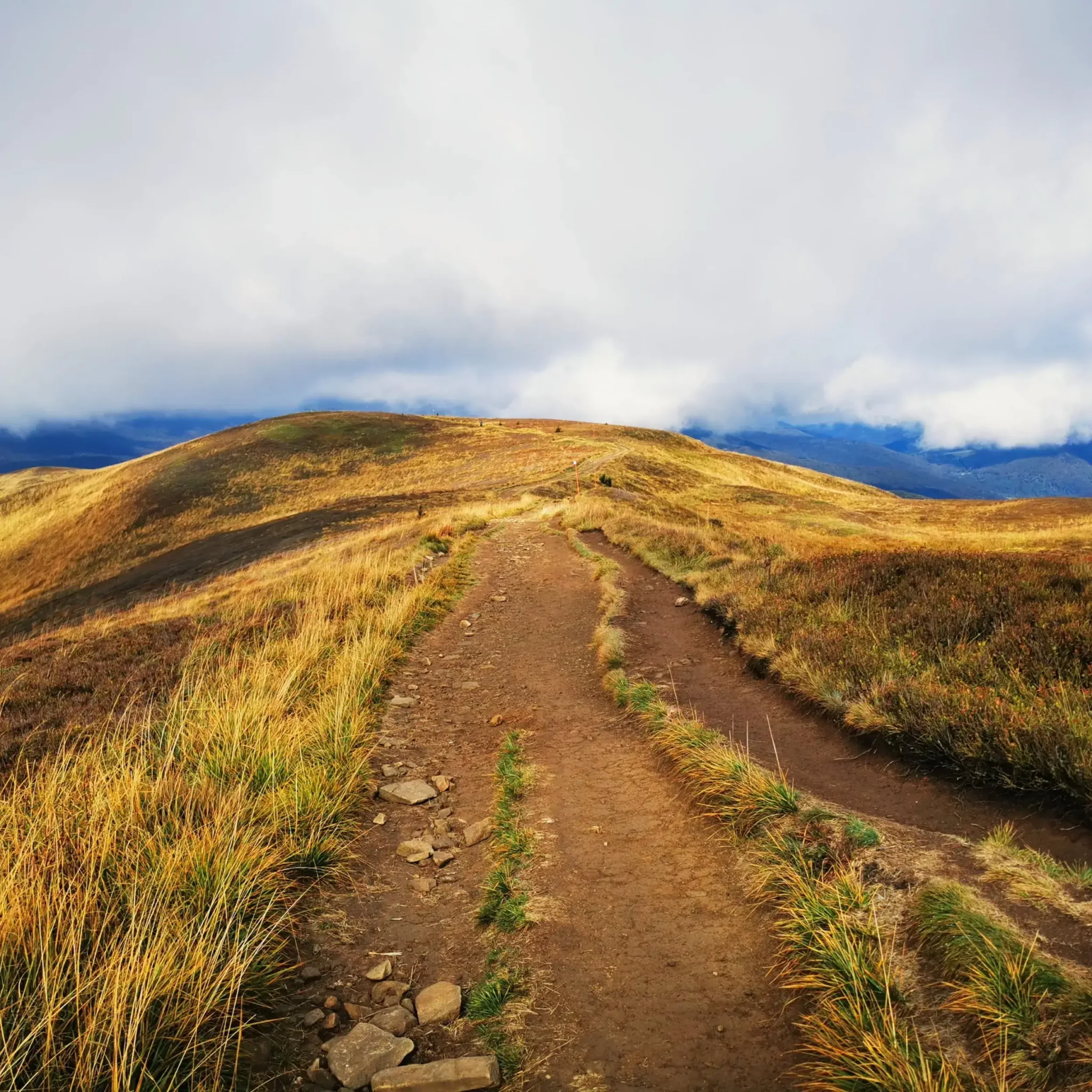 Górski szlak prowadzący przez złociste poloniny Bieszczad, otoczony trawami falującymi na wietrze. Widok podkreślony dramatycznym niebem z nisko zawieszonymi chmurami. Idealne miejsce dla miłośników pieszych wędrówek i górskich krajobrazów.
