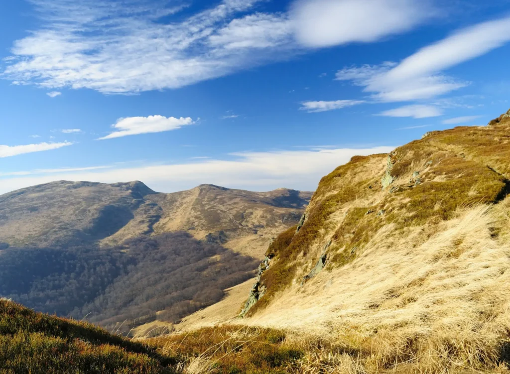 Panorama Bieszczadzkiego Parku Narodowego ukazująca malownicze połoniny w złocistych barwach, rozciągające się pod błękitnym niebem z delikatnymi chmurami. Spokój natury i majestatyczne górskie krajobrazy.