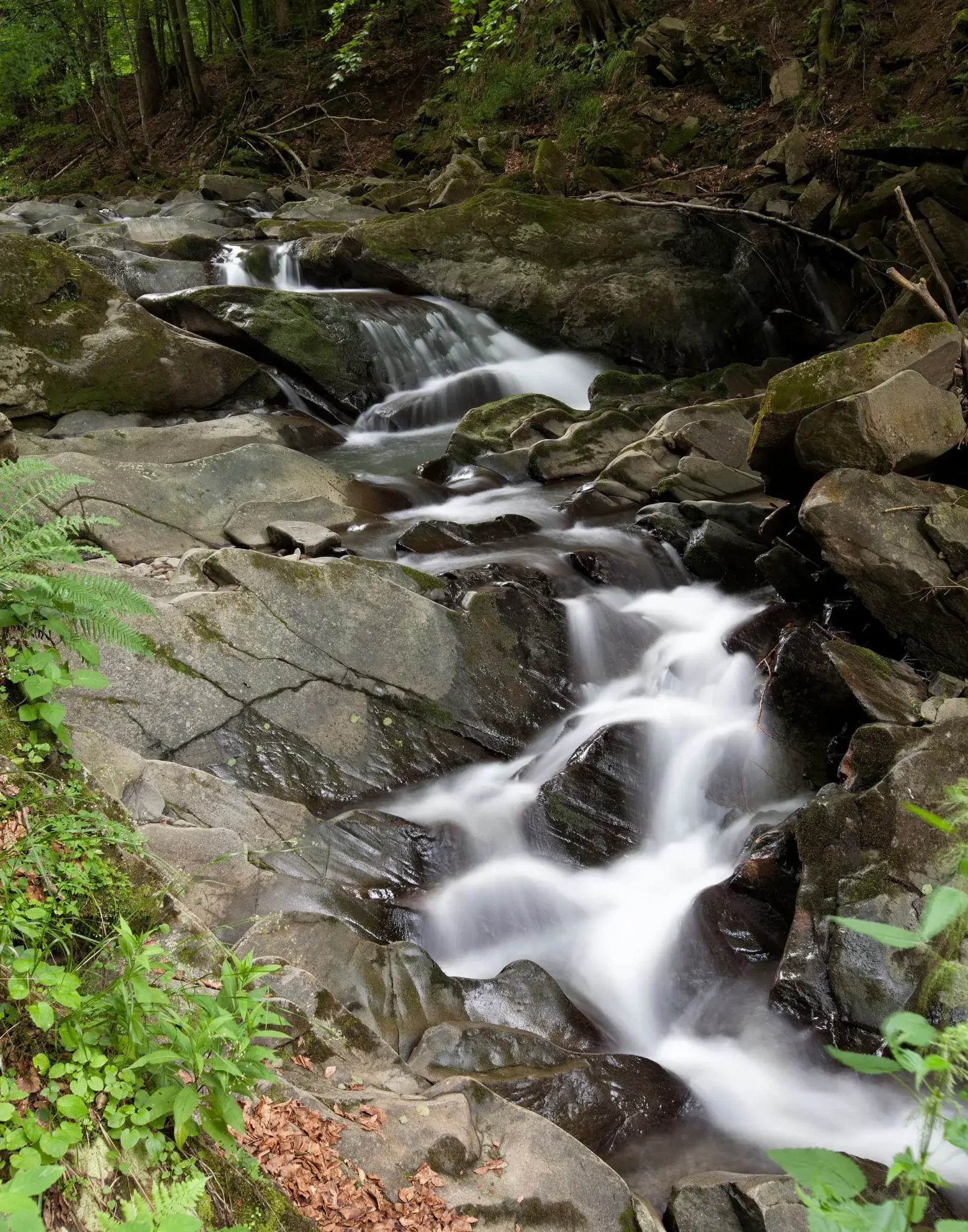 Malowniczy strumień w Rezerwacie Sine Wiry, przepływający przez kamienie w otoczeniu bujnej zieleni lasu. Naturalne piękno Bieszczad.