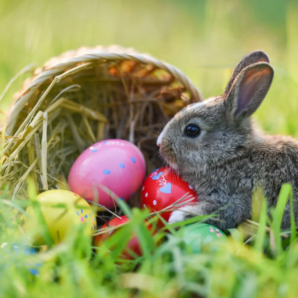 Uroczy królik wielkanocny w trawie obok kolorowych pisanek i przewróconego koszyka. Symbol świątecznej atmosfery i wiosny w pełni.