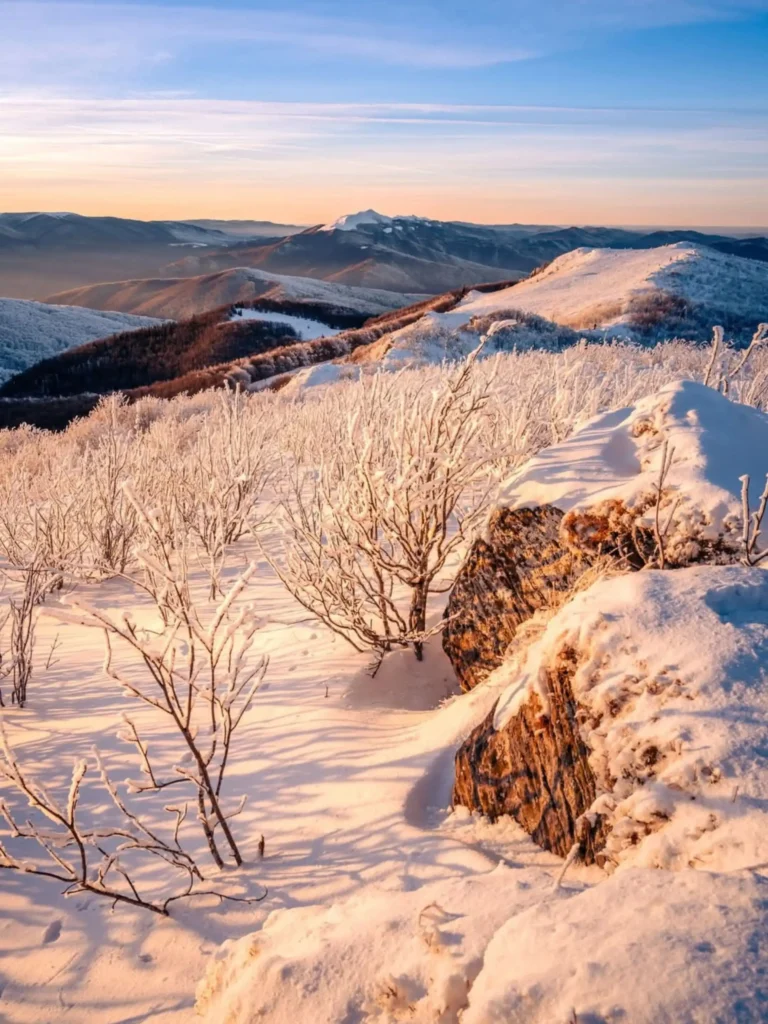 Ośnieżone krzewy na tle bieszczadzkich szczytów o zachodzie słońca