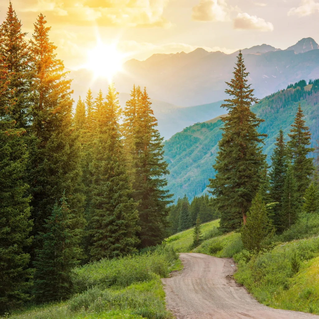 Wschód słońca wiosną nad górskim lasem i widokową trasą